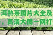 普洱熟茶圖片大全及價(jià)格，高清大圖一網(wǎng)打盡