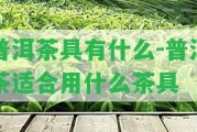 普洱茶具有什么-普洱茶適合用什么茶具