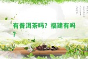 有普洱茶嗎？福建有嗎？