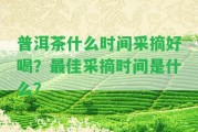 普洱茶什么時(shí)間采摘好喝？最佳采摘時(shí)間是什么？