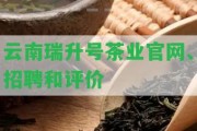 云南瑞升號茶業(yè)官網(wǎng)、招聘和評價