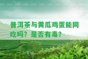 普洱茶與黃瓜雞蛋能同吃嗎？是不是有毒？