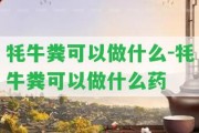 牦牛糞可以做什么-牦牛糞可以做什么藥