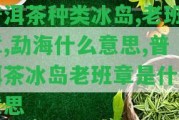 普洱茶種類(lèi)冰島,老班章,勐海什么意思,普洱茶冰島老班章是什么意思