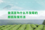 普洱茶為什么不發(fā)霉的起因及保方法