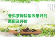 普洱茶降尿酸效果好的起因及評價(jià)