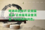 現場(chǎng)動(dòng)態(tài)知識:云南貓耳朵-云南貓耳朵普洱茶「19日實(shí)時(shí)動(dòng)態(tài)」