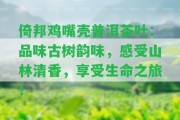 倚邦雞嘴殼普洱茶葉：品味古樹韻味，感受山林清香，享受生命之旅！