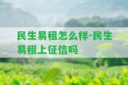 民生易租怎么樣-民生易租上征信嗎