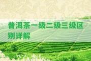 普洱茶一級二級三級區(qū)別詳解