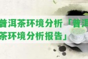 普洱茶環(huán)境分析「普洱茶環(huán)境分析報(bào)告」