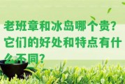 老班章和冰島哪個貴？它們的好處和特點(diǎn)有什么不同？