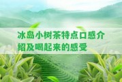 冰島小樹茶特點口感介紹及喝起來的感受