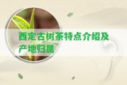 西定古樹茶特點介紹及產(chǎn)地歸屬