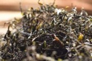 用竹片包著的普洱茶叫什么？茶名、存放方法、包裝說(shuō)明全解析