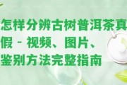 怎樣分辨古樹普洱茶真假 - 視頻、圖片、鑒別方法完整指南