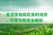 普洱茶加桃花茶的功效、作用與禁忌全解析