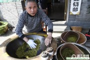 紅茶和綠茶都能抑制細菌生長