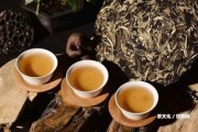 喝普洱茶茶醉：癥狀與應(yīng)對方法