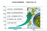 茶色測(cè)定和分類的初步報(bào)告