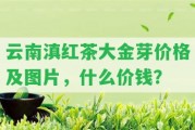 云南滇紅茶大金芽價格及圖片，什么價錢？