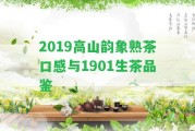 2019高山韻象熟茶口感與1901生茶品鑒