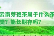 云南芽孢茶屬于什么茶類？能長(zhǎng)期存嗎？