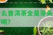 什么普洱茶全是芽頭的好喝？