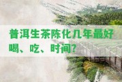 普洱生茶陳化幾年最好喝、吃、時間？