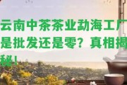 云南中茶茶業(yè)勐海工廠是批發(fā)還是零？真相揭秘！