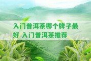 入門普洱茶哪個(gè)牌子最好 入門普洱茶推薦