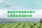 普洱茶中間有黃點是什么起因及其成因分析