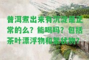 普洱煮出來有沉淀是正常的么？能喝嗎？包含茶葉漂浮物和絮狀物？