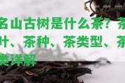 名山古樹是什么茶？茶葉、茶種、茶類型、茶類詳解