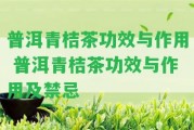 普洱青桔茶功效與作用 普洱青桔茶功效與作用及禁忌