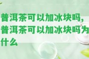 普洱茶可以加冰塊嗎,普洱茶可以加冰塊嗎為什么