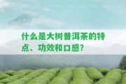 什么是大樹普洱茶的特點(diǎn)、功效和口感？