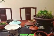 中茶8821茶葉種類、品質(zhì)、價格及購買渠道全面解析，助您輕松挑選滿意茶葉