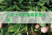 二百一斤的普洱茶怎么樣