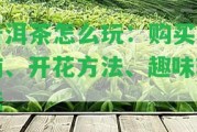 普洱茶怎么玩：購(gòu)買(mǎi)指南、開(kāi)花方法、趣味玩法