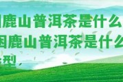 困鹿山普洱茶是什么香-困鹿山普洱茶是什么香型