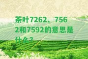 茶葉7262、7562和7592的意思是什么？