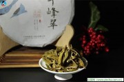 在云端喝茶，昆布茶