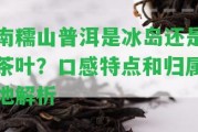 南糯山普洱是冰島還是茶葉？口感特點和歸屬地解析