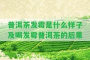 普洱茶發(fā)霉是什么樣子及喝發(fā)霉普洱茶的結(jié)果