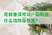 花和普洱可以一起喝有什么功效及作用？