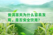 普洱茶天為什么容易發(fā)霉，是不是安全飲用？