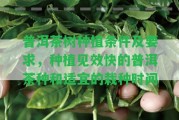 普洱茶樹種植條件及請求，種植見效快的普洱茶種和適宜的栽種時間