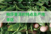 帕莎普洱的特點及產地茶區(qū)