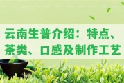 云南生普介紹：特點(diǎn)、茶類、口感及制作工藝